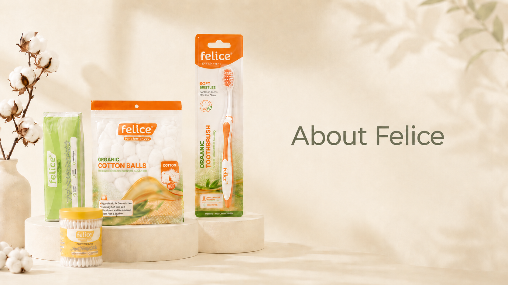 About Felice Hero